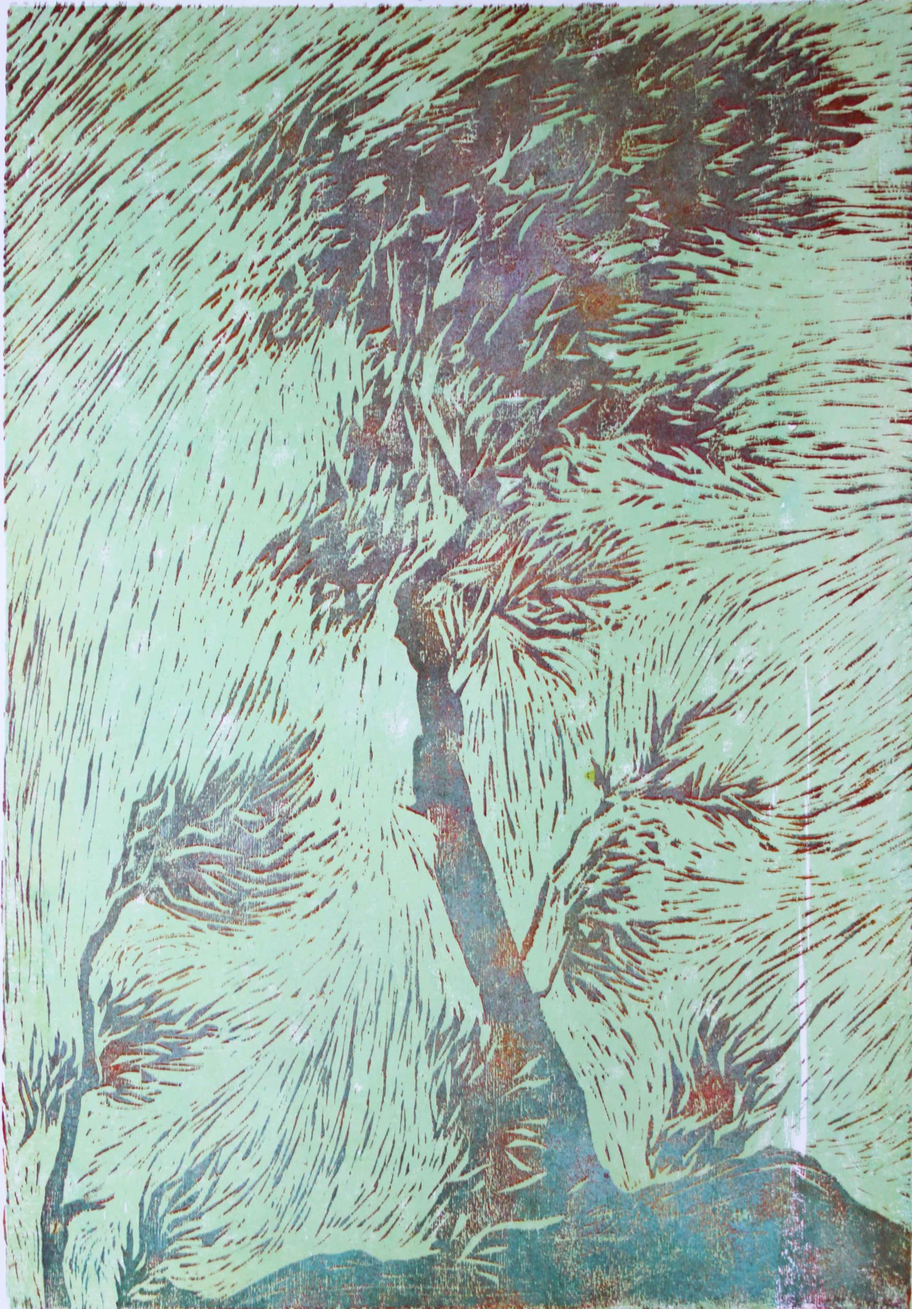 Baum 02, 42 x 60 cm, 2011, Ölfarbe auf Papier